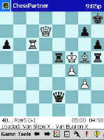 chess-partner.jpg