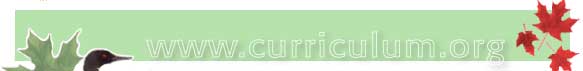 curriculum.jpg